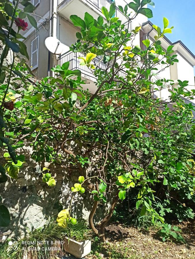 Lemons House Apartment Monterosso al Mare Bagian luar foto
